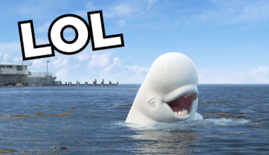 Beluga Whale Lol