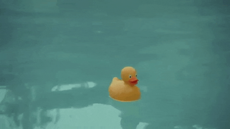 The End Rubber Duck