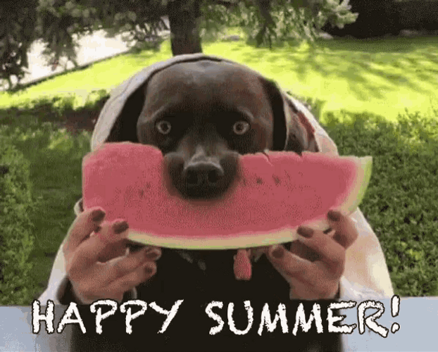Happy Summer Cute Eating Dog
