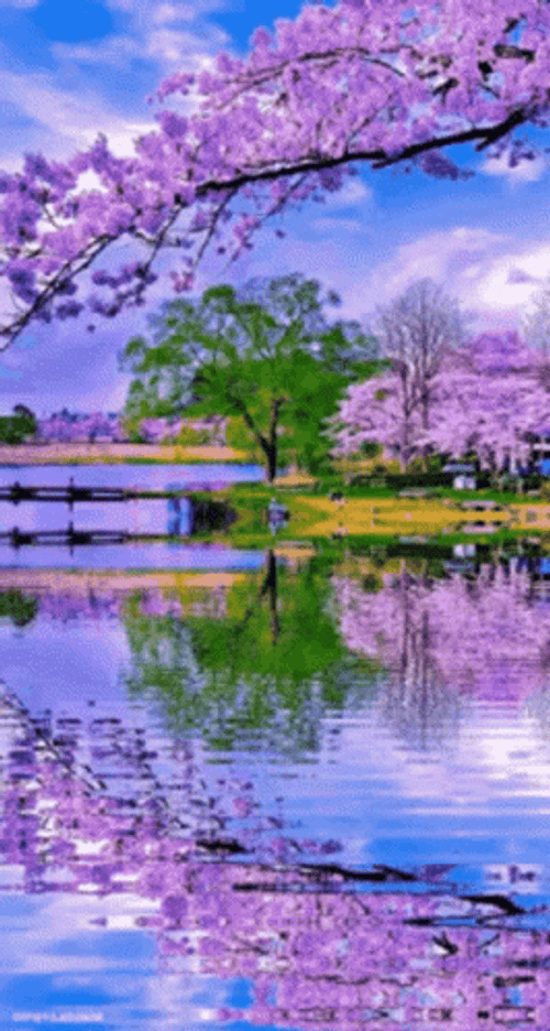 Nature&s Lake In Purple Trees