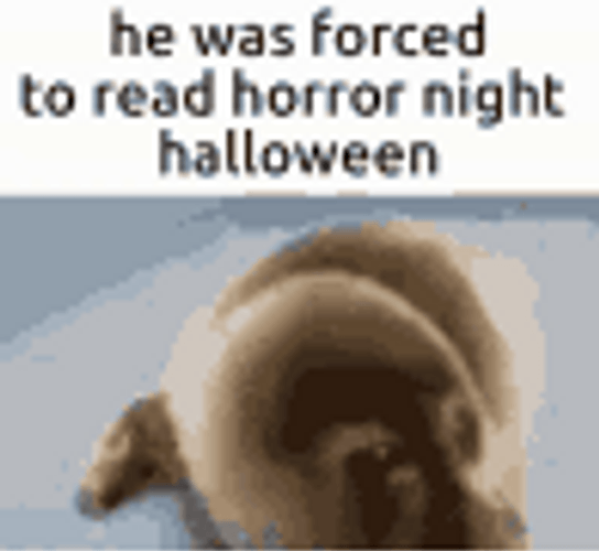 Horror Seal Meme