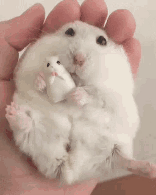 Hamster Cuddling Toy