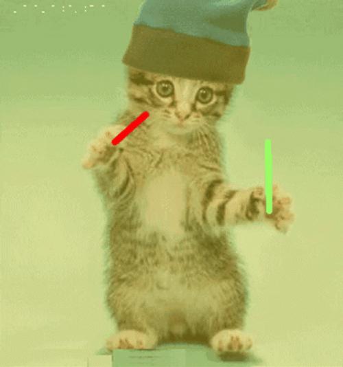 Dancing Cat Light Sticks