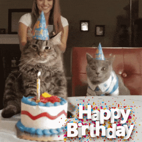 Moody Cat Happy Birthday