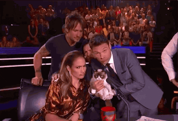 America&s Got Talent Judges Grumpy Cat