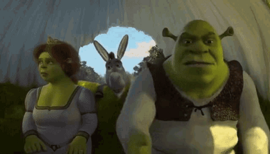 Shrek And Fiona Onion Carriage