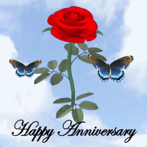 Happy Anniversary Butterflies And Rose