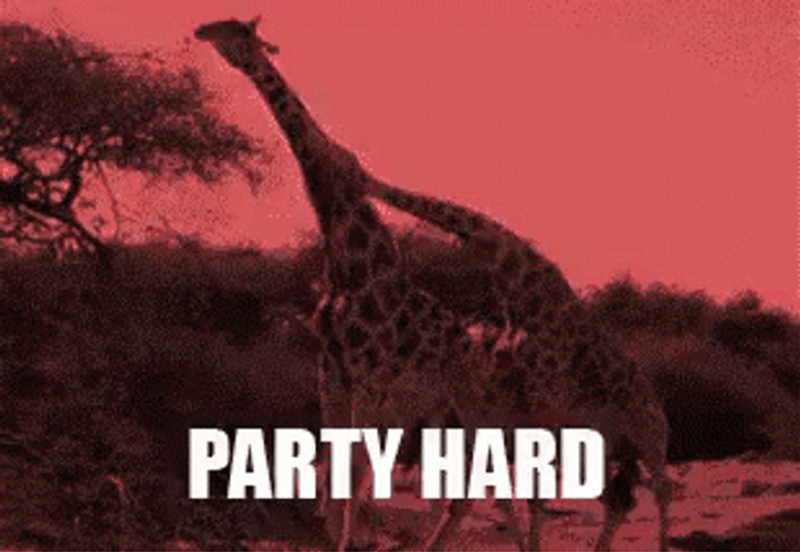 Giraffe Party Hard