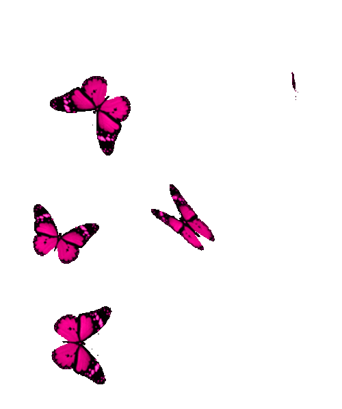 Flying Pink Butterfly Stickers