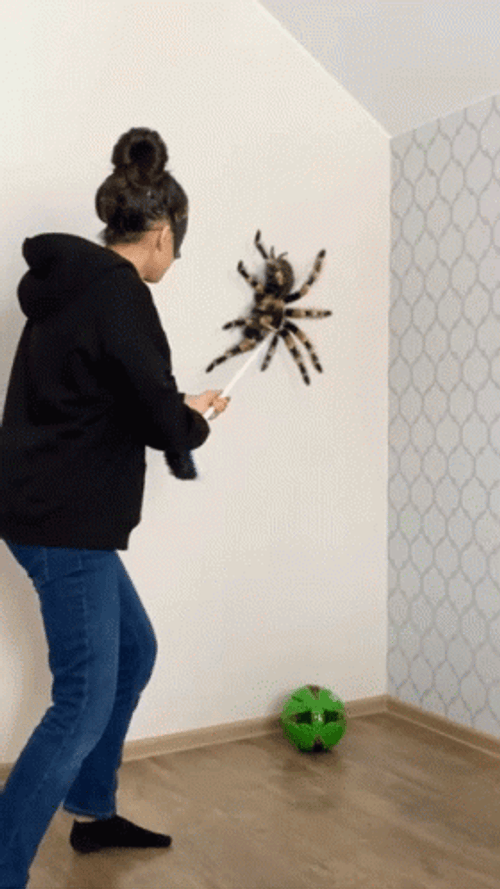 Woman Scared Hitting Spider