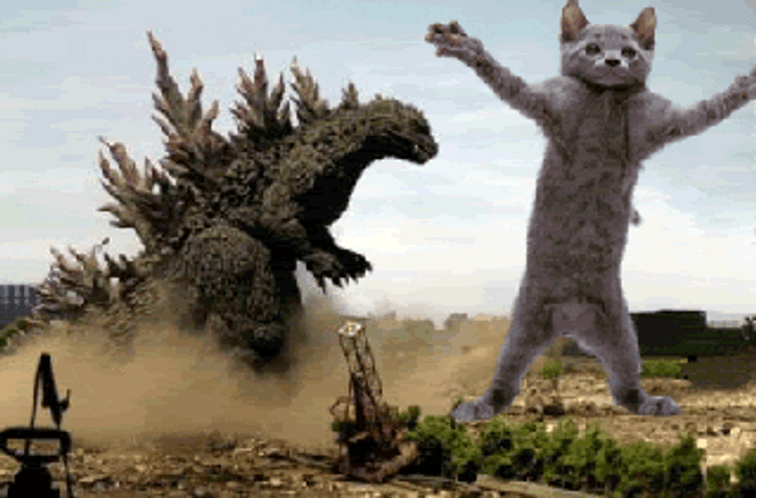 Dancing Cat And Godzilla