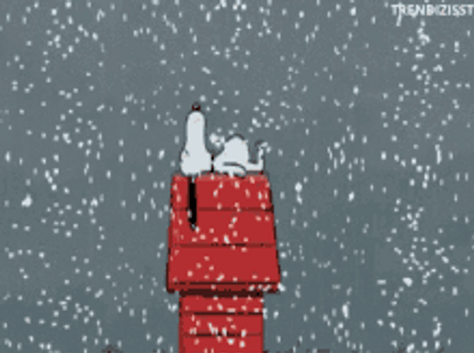 Snow Falling In Snoopy
