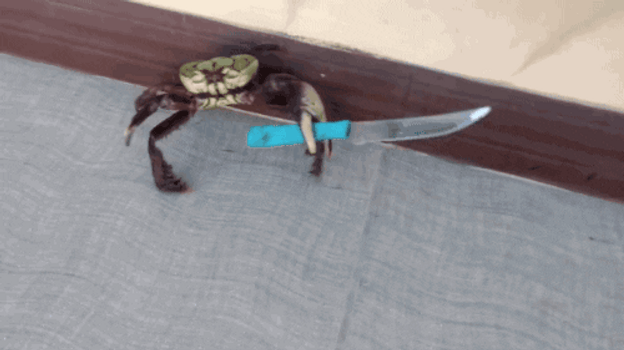 Crab Fight With Knife