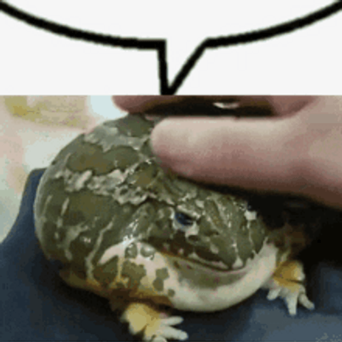 Frog Fun Massage