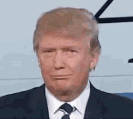 Donald Trump Silly Reaction
