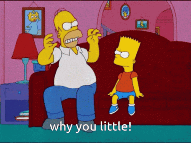 Homer Simpsons Why You Little Bart