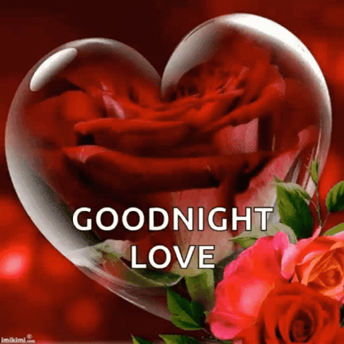 Love Good Night Rose