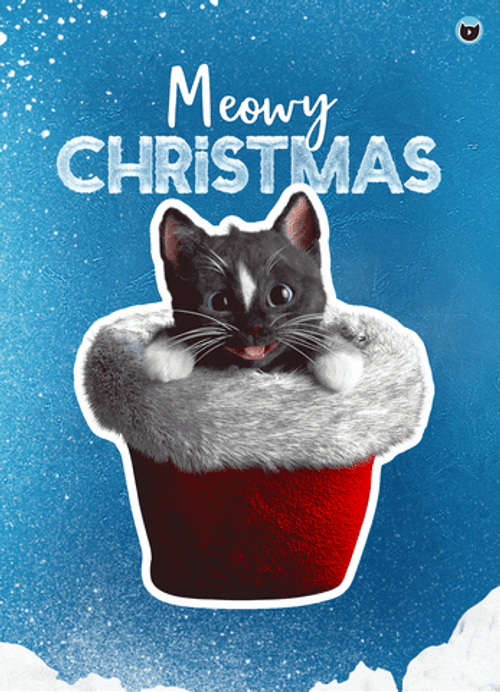 Merry Christmas Black Cat