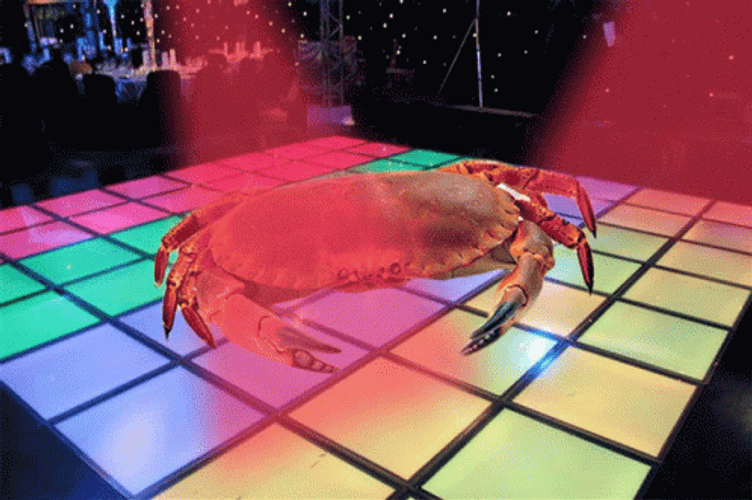 Crab Disco Party Dance