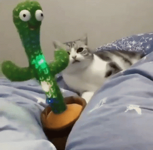 Dancing Cat Shaking Toy Cactus