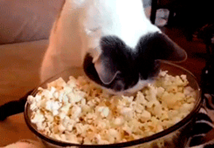 Popcorn Bowl Cat Face