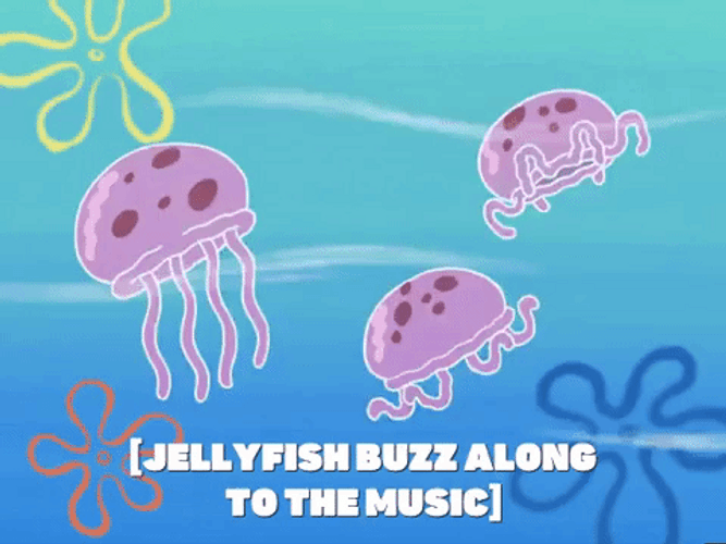 Jellyfish Buzz Along To The Music