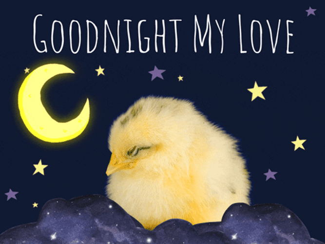 Sleepy Love Good Night Chick