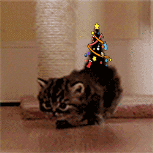Christmas Tree Kitten Tail