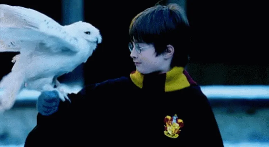 Harry Potter Hedwig Owl
