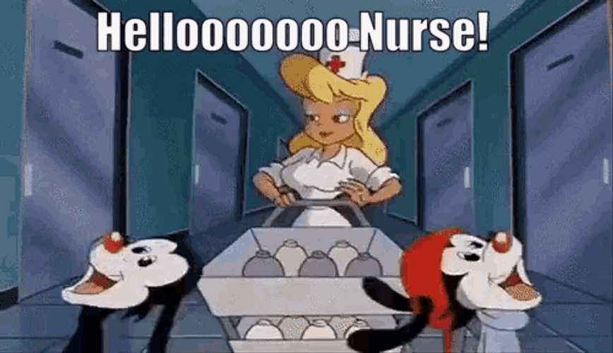 Animaniacs Hello Nurse