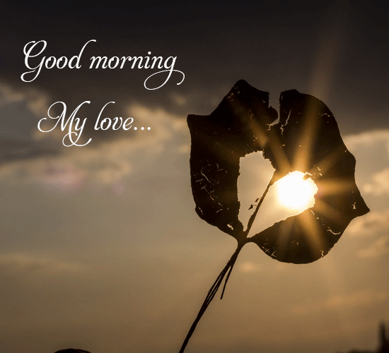 Good Morning My Love Leaf Sunrise