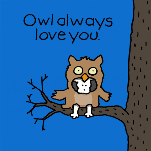 I Love You Owl