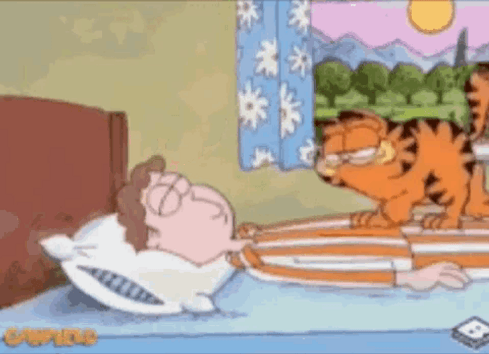 Garfield Wake Up Jon