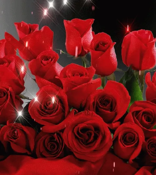 Red Roses Glitters
