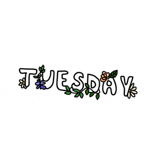Simple Tuesday Text Animation