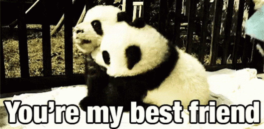 You&re My Best Friend Panda
