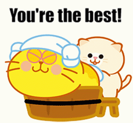 You&re The Best Yolk Cat