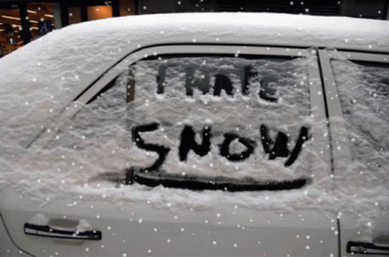Car I Hate Snow