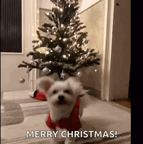 Merry Christmas Puppy Greeting