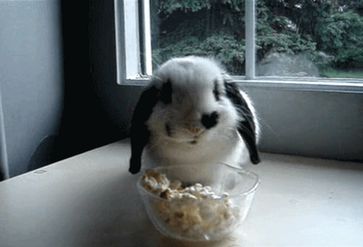 Popcorn Bowl Cute Bunny