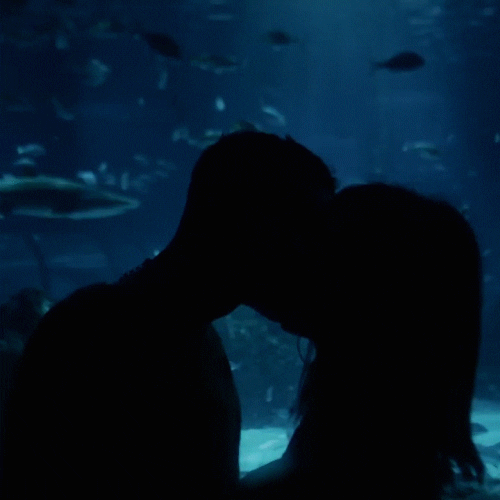 Romantic Kiss Aquarium Silhouette
