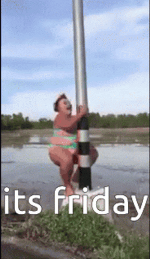 Its Friday Crazy Pole Dance