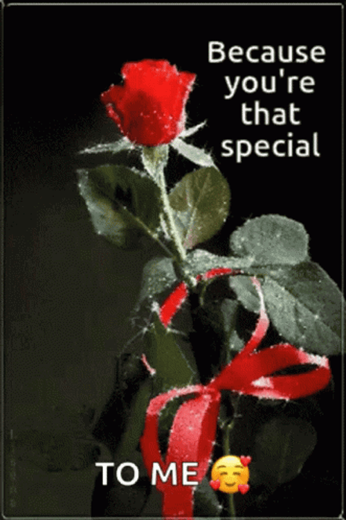 You&re Special Rose