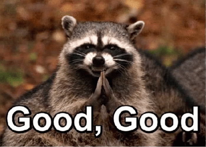Good Evil Smile Raccoon