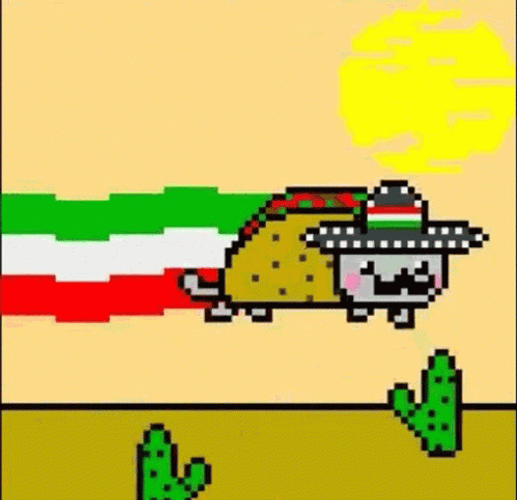 Funny Taco Cat Cactus