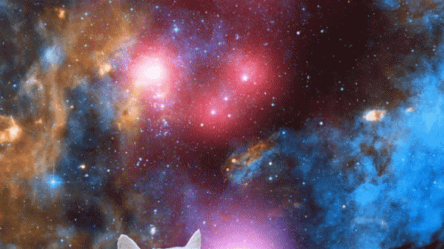 Cute White Cat Colorful Galaxy