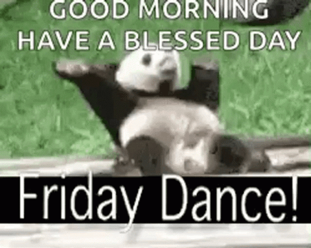 Good Morning Friday Dance Funny Panda