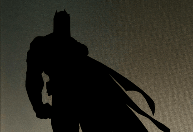 Batman Cartoon Series Show