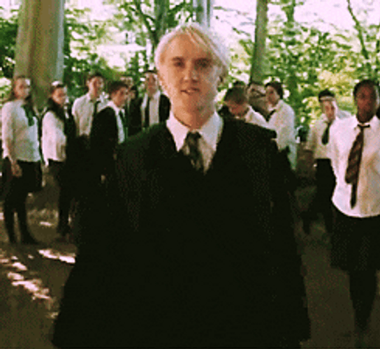 Draco Malfoy Harry Potter Walk