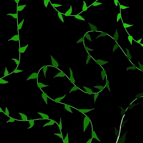Vine Plant Animated